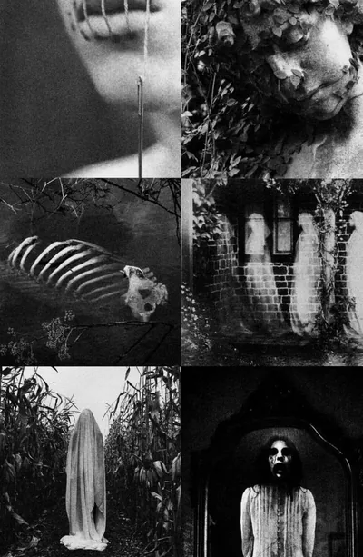 Aesthetic Wallpaper Black Horror