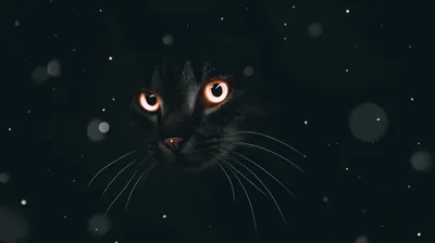 Dark 4K Wallpapers