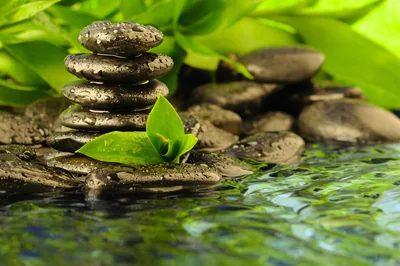 Stacked Zen Stones Beside Green Leaves HD Wallpaper