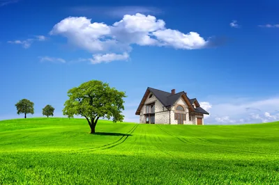 Cottage on a Bright Green Field HD Wallpaper