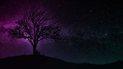 Wallpaper dark, wallpaper, black, art, tree, man, hill, purple for mobile and desktop