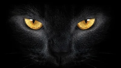 Jet black background Wallpaper