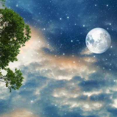 Moon and Tree in a Starry Sky HD Wallpaper