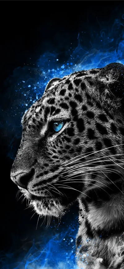 Iphone 16 Wallpapers