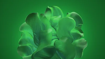 Windows 11 Wallpaper 4K, Green background