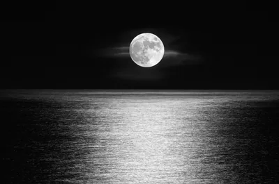 Black Moon Wallpapers