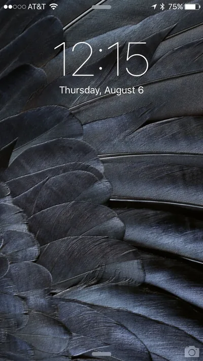 Feather Iphone Wallpaper