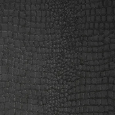 Crocodile Black Wallpaper