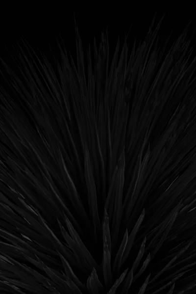 Backgrounds For Iphone Tumblr