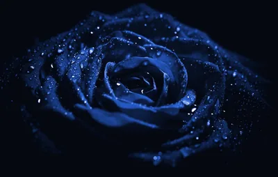 Blue Black Aesthetic Wallpapers