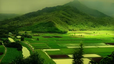 Green Nature Wallpapers Desktop