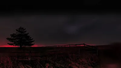 Lone Tree Silhouette at Dusk HD Wallpaper