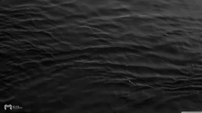 Dark Water Ripples in Monochrome HD Wallpaper