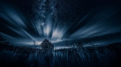 Milky Way Over a Dark Grassland HD Wallpaper