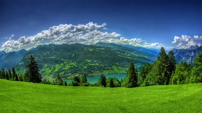Meadow Above an Alpine Lake Valley HD Wallpaper