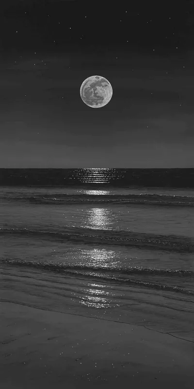 Moonlight Path Across the Ocean HD Phone Wallpaper