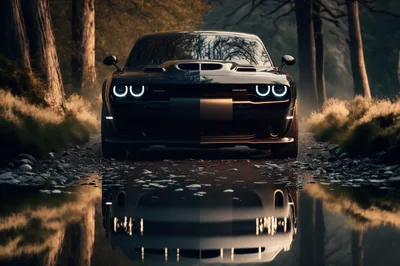 Muscle Car Mirrored in a Forest Puddle HD Wallpaper