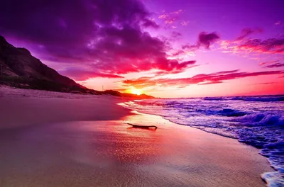 Magenta Sky Over a Curving Beach HD Wallpaper