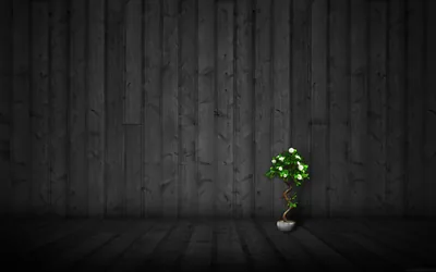 Dark Wood Wallpapers