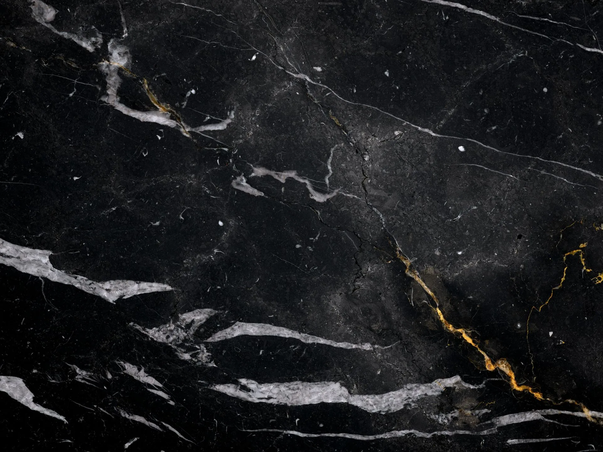 Fine white specks scatter like stars over deep black, thin streaks gathering in the lower-left while a single amber vein trails down the right side.
