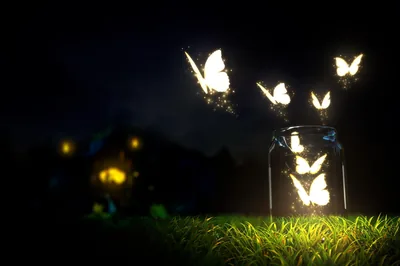 Glowing Butterflies Escaping a Jar HD Wallpaper