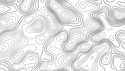Blank White Black Lines Wallpaper Wallpapers Free Word