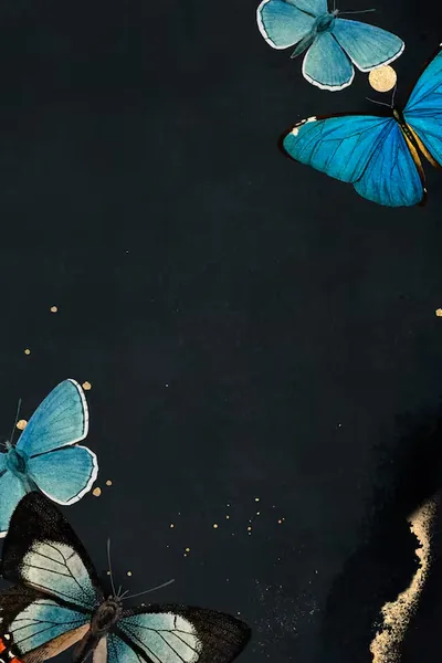 Dark Butterfly Background