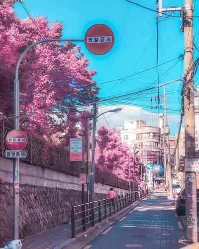 wallpaper aesthetic korean Korean aesthetic quotes wallpapers