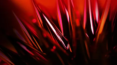 Wallpaper Laptop Acer Nitro Acer Nitro Wallpaper Rbg Keyboard Acer Nitro Stock Photo