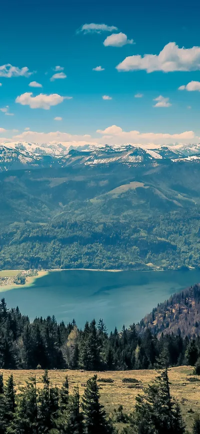 Alpine Lake Seen From a Forest Ridge HD Phone Wallpaper