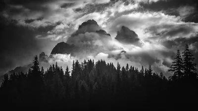 Wallpaper the sky, clouds, trees, mountains, nature, rocks, black and white, monochrome