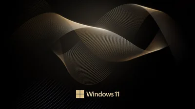 Black Windows 11 Wallpaper