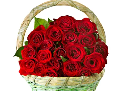 roses, Flowers, Bouquet, Basket, Love, Romance, Life, Happiness, Couple Wallpapers HD