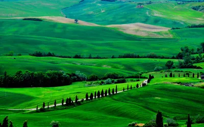 Green Nature Wallpapers Green Nature Backgrounds