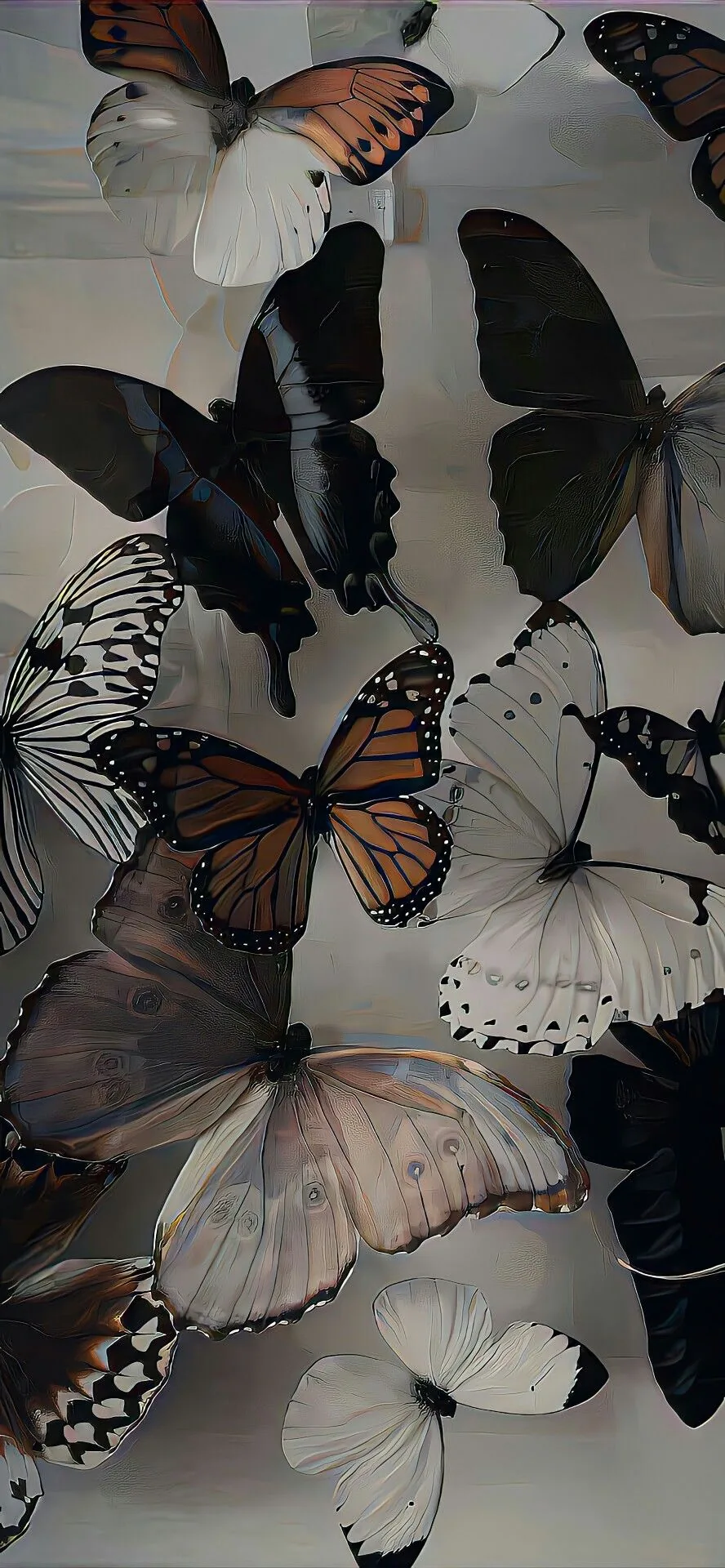 A wall-to-wall collage of specimen butterflies, orange monarchs glowing among black swallowtails and white paper kites, with no empty space anywhere.