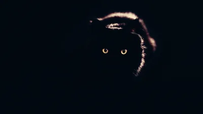 Desktop Backgrounds Black