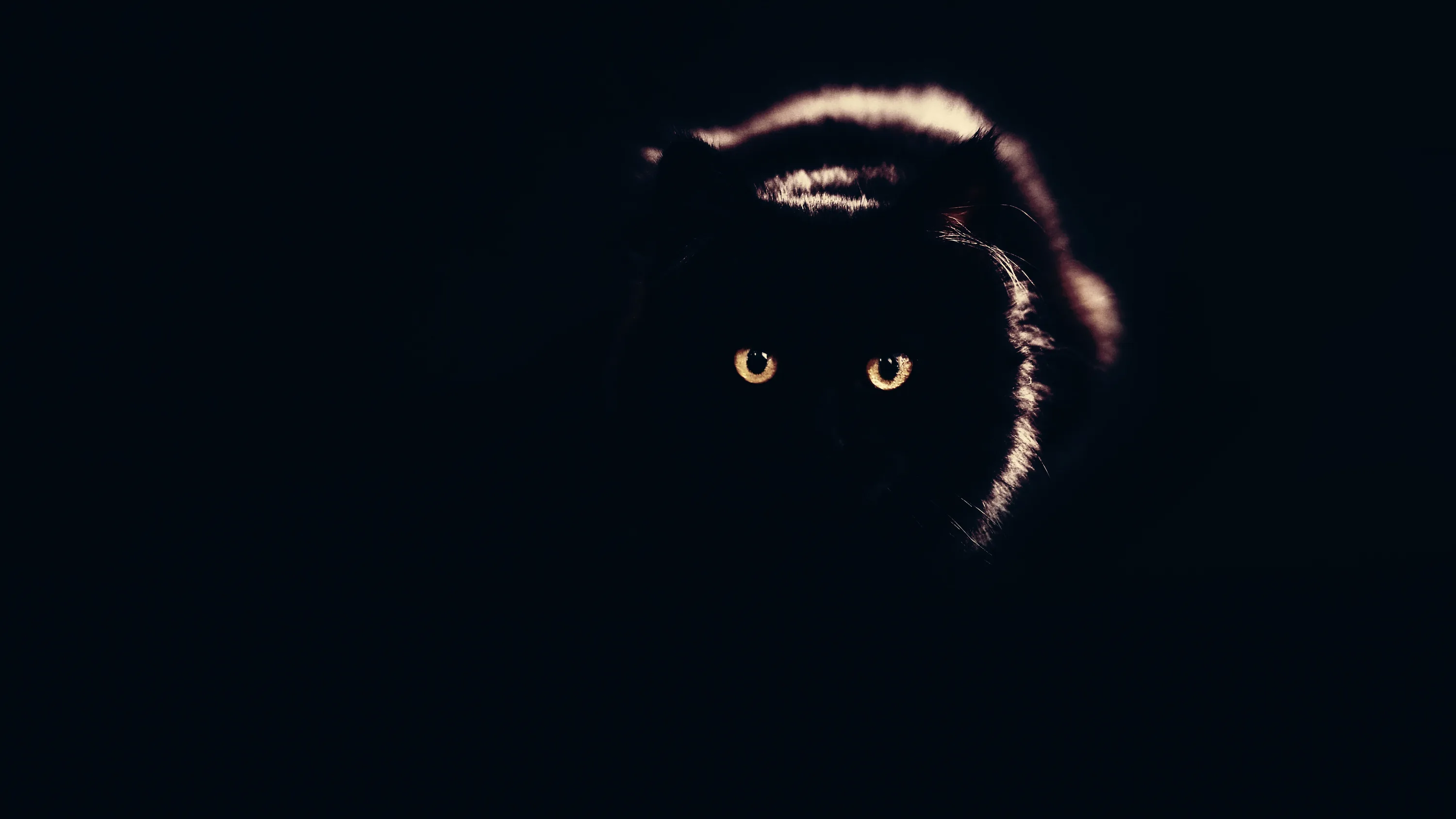 Desktop Backgrounds Black