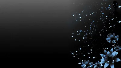 Black Cute Backgrounds