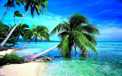 Miami Beach Wallpapers Widescreen