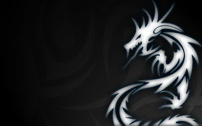 Tribal Dragon on Carbon Fibre HD Wallpaper