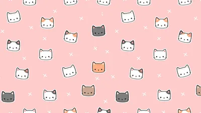 Cute Kitty Desktop Wallpaper