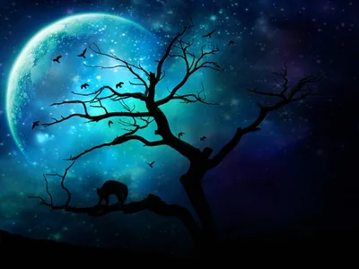 Cool Moon Wallpapers 4k, HD Backgrounds