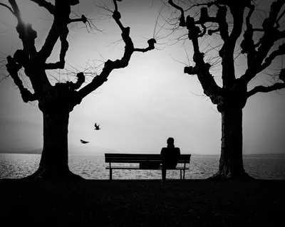 Lakeside Bench in Black and White HD Wallpaper