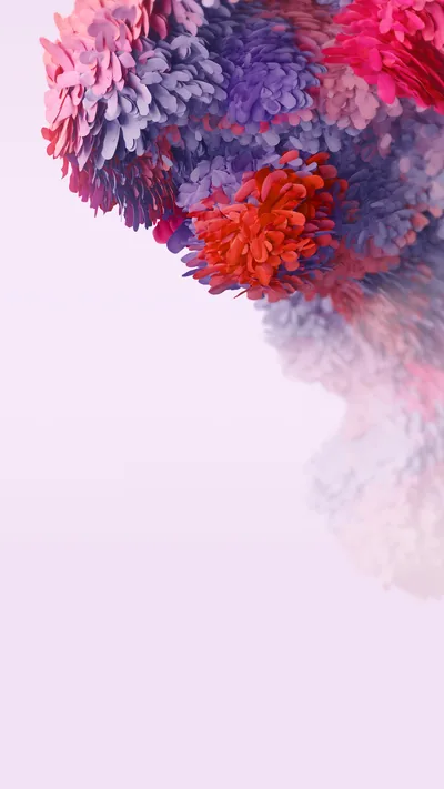 Puffball Blooms on Pale Pink HD Phone Wallpaper