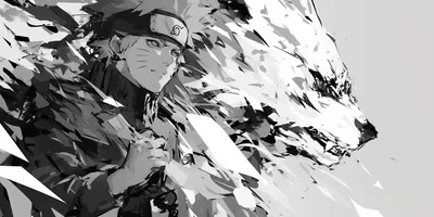 Ninja and Fox in Shattered Monochrome HD Wallpaper