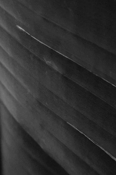 Black Abstract Photos, The BEST Free Black Abstract Stock Photos & HD Images