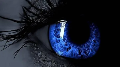 Close-Up of a Blue Eye HD Wallpaper