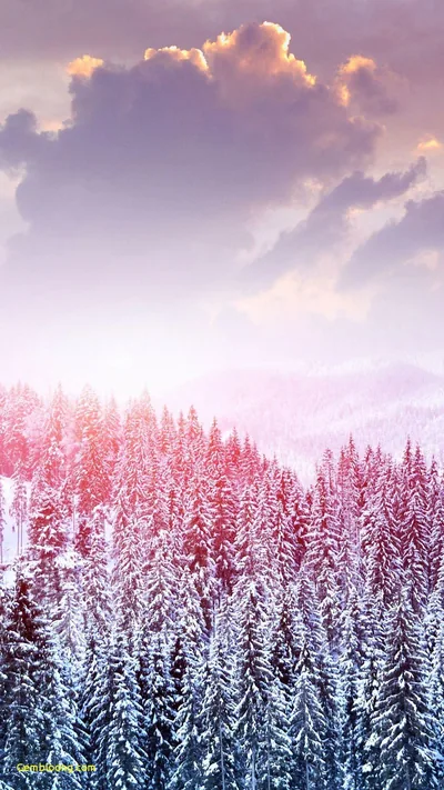 Girly Wallpapers For Android