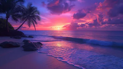 Purple Tropical Beach at Dusk HD Wallpaper