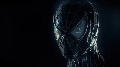 Black Spiderman Mask Wallpaper, HD Superheroes Wallpapers, 4k Wallpapers, Images, Backgroun